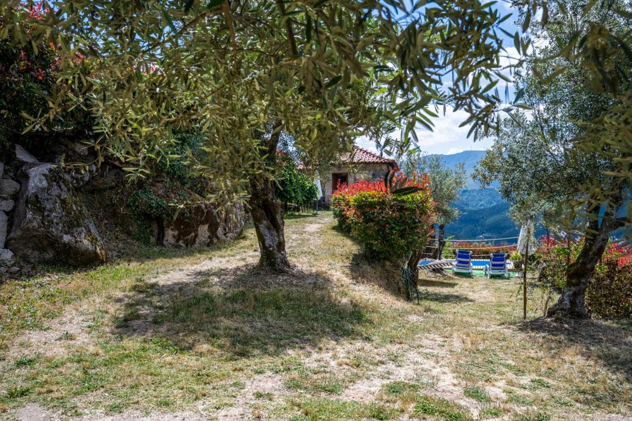 Quinta Da Baldieira Mondim de Basto Kültér fotó